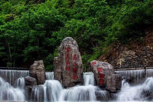 有认识这种植物的吗？游戏画面